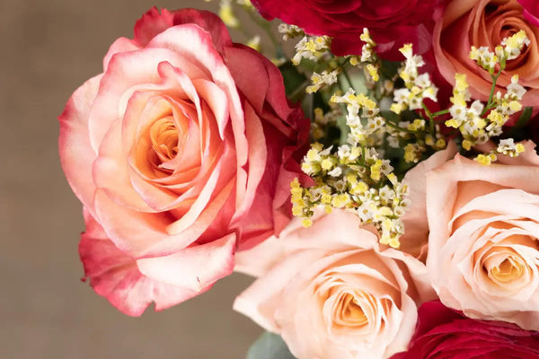 Valentine’s Day Flowers That Feel Good to Give