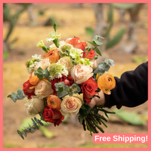 Load image into Gallery viewer, Holiday Gift Subscription – 3 Months (Prepaid)