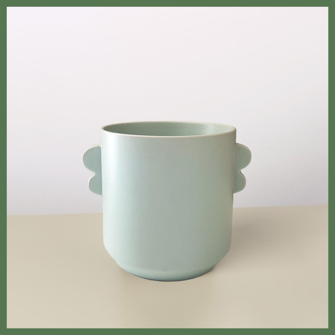 Native to central and South America, the Money Tree 'Guiana Chestnut' is an enchanting and unique houseplant that is believed to bring good luck and prosperity to its owners.