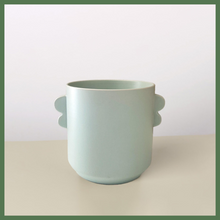 Load image into Gallery viewer, Native to central and South America, the Money Tree 'Guiana Chestnut' is an enchanting and unique houseplant that is believed to bring good luck and prosperity to its owners.