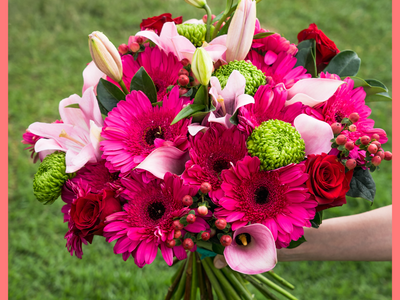 6 Month Gift Subscription
