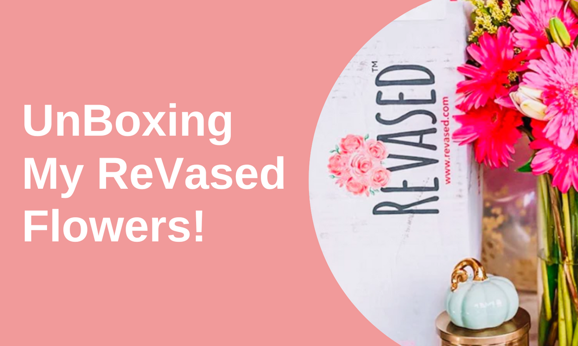 UnBoxing My ReVased Flowers!