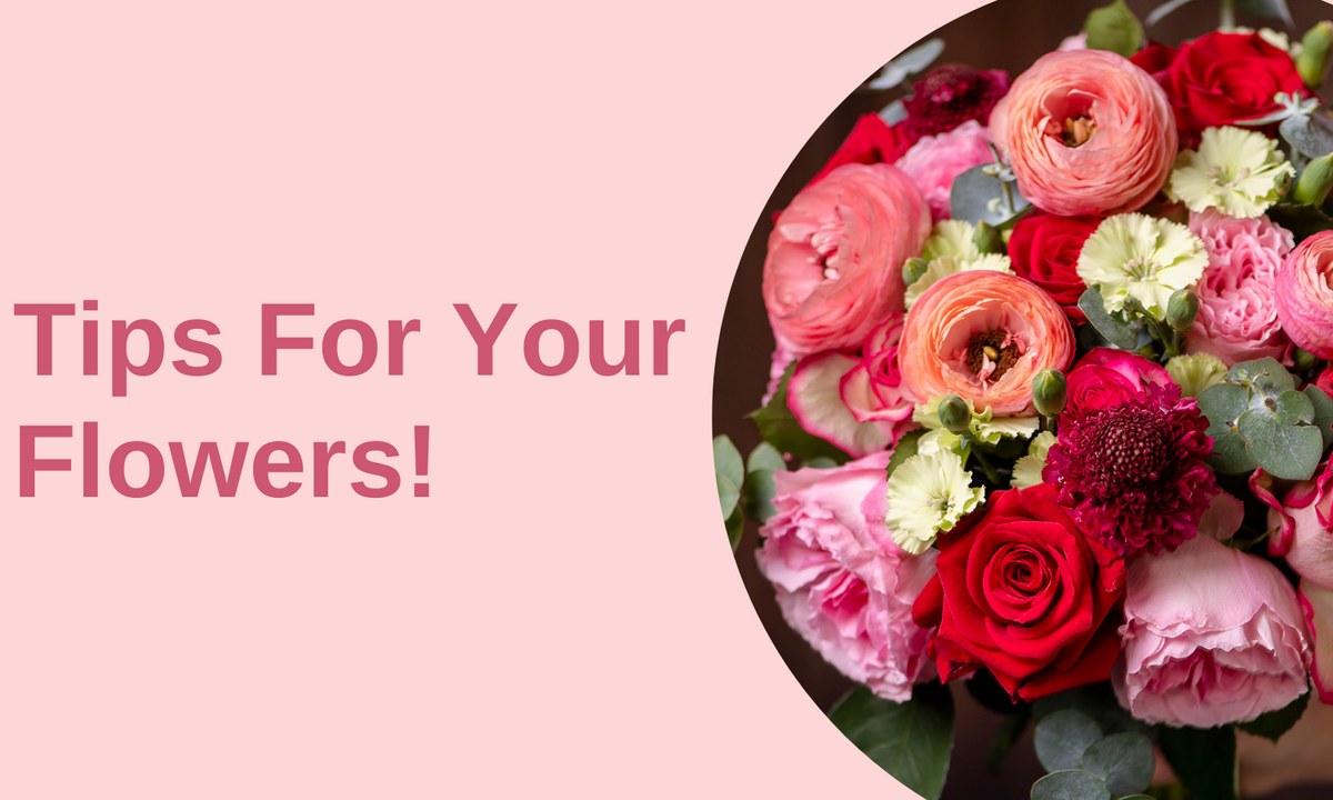 Tips For Your Flowers! written by ReVased