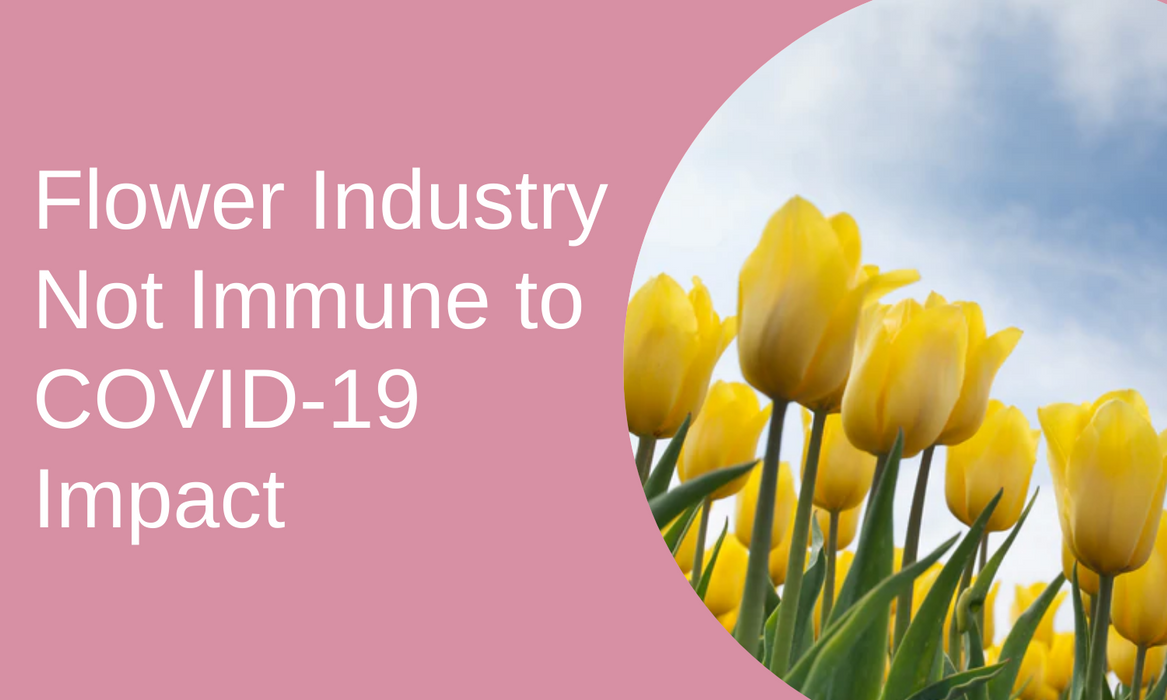 Flower Industry Not Immune to COVID-19 Impact