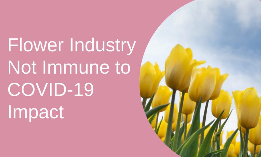 Flower Industry Not Immune to COVID-19 Impact