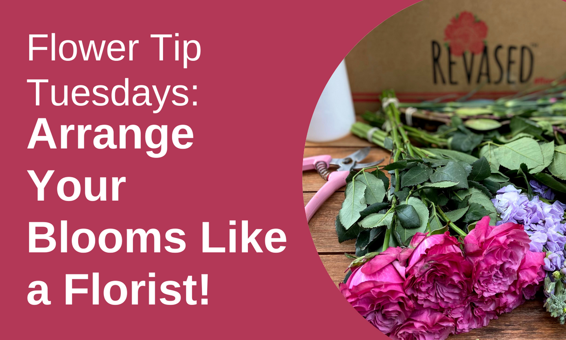 Arrange Your Blooms Like a Florist