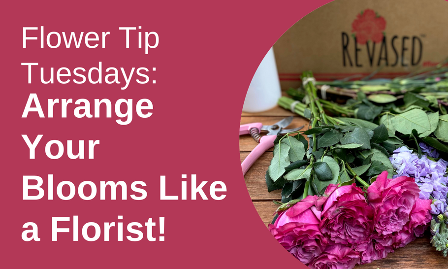 Flower Tip Tuesdays: Arrange Your Blooms Like a Florist!