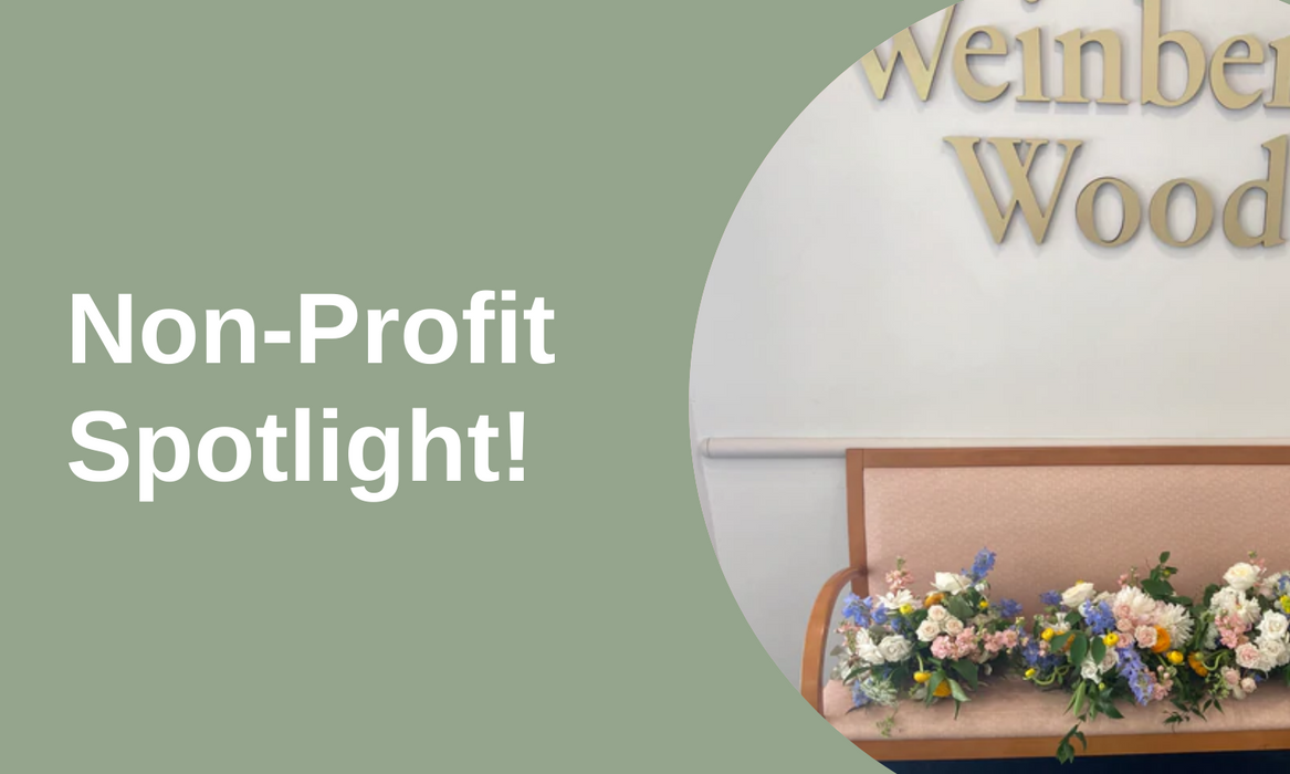 Non-Profit Spotlight!