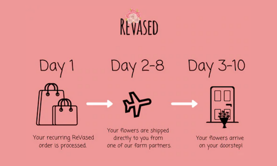 🌻 Important Updates from ReVased 🌻