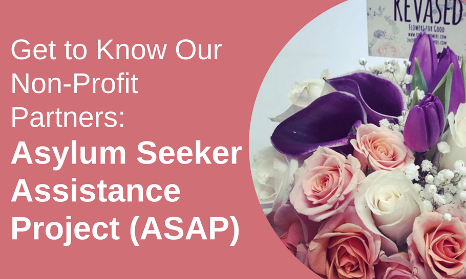 Get To Know Our Non-Profit Partners: Asylum Seeker Assistance Project (ASAP)