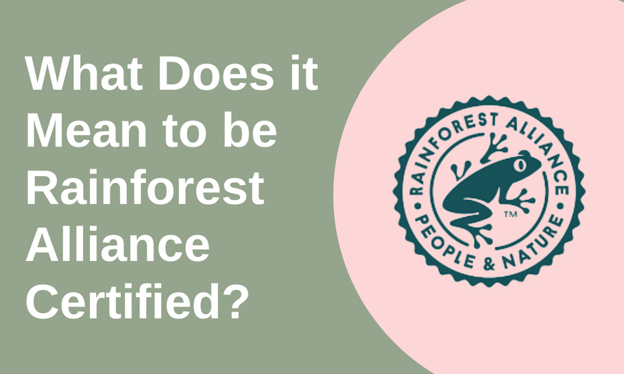 What Does it Mean to be Rainforest Alliance Certified?