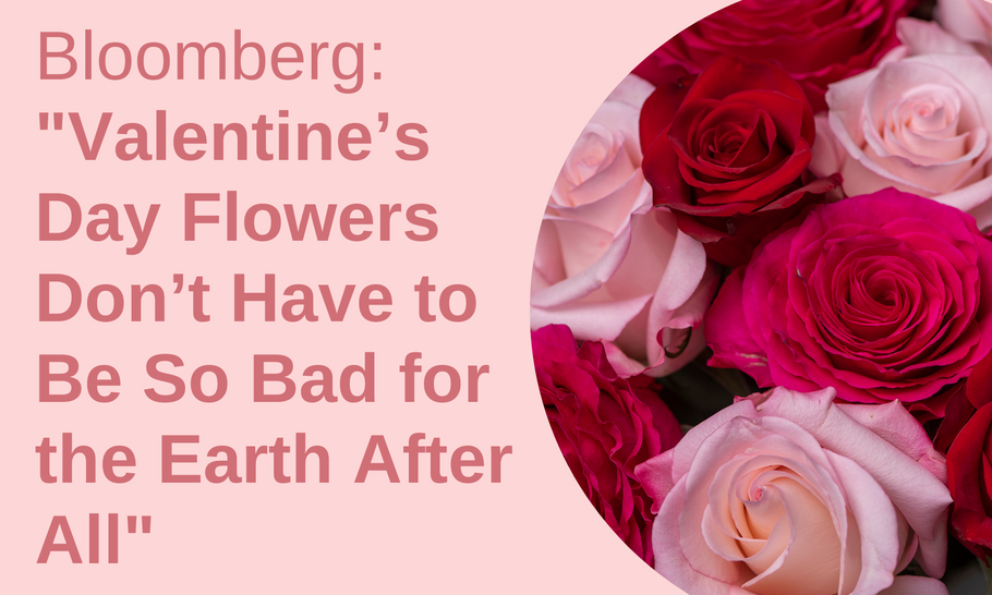 Bloomberg: "Valentine’s Day Flowers Don’t Have to Be So Bad for the Earth After All"