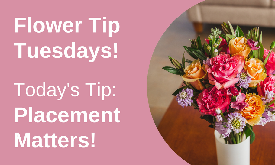 Flower Tip Tuesdays: Placement Matters!