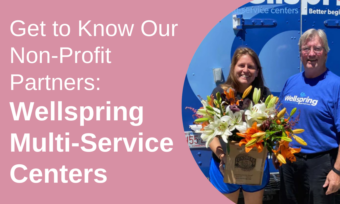 Wellspring Multi-Service Centers