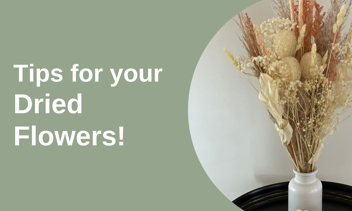 Tips for your Dried Flowers