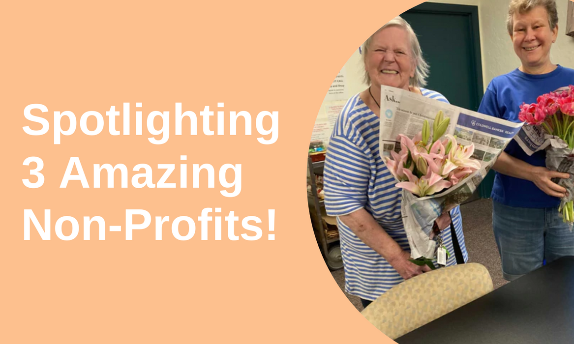 Spotlighting 3 Amazing Non-Profits!