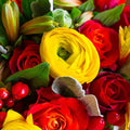 Fresh-cut ReVased flower bouquet in a vase