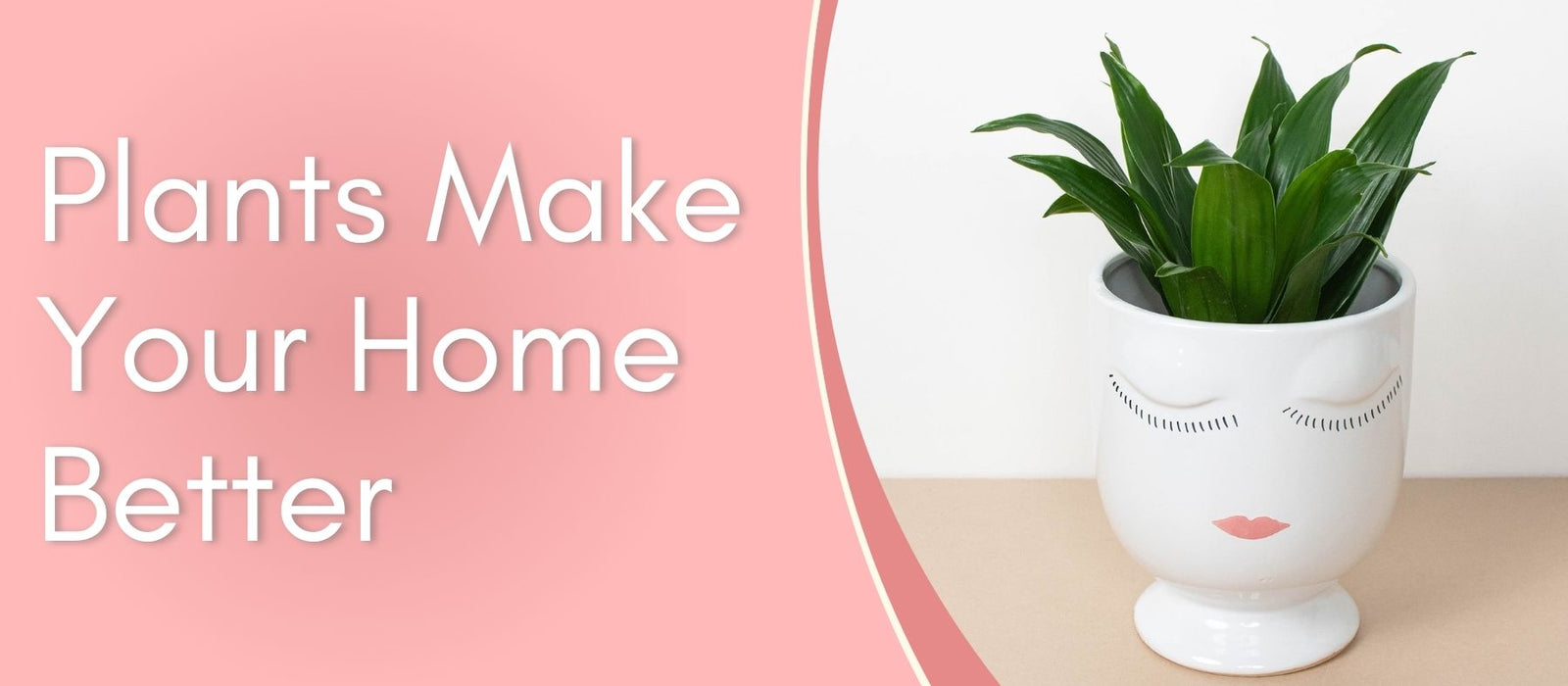 Plants Make Your Home Better