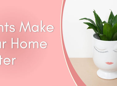 Plants Make Your Home Better