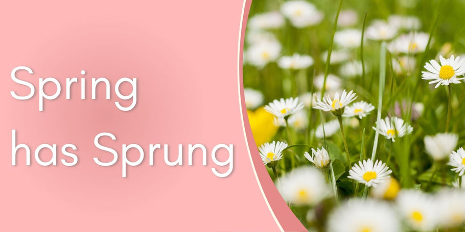 Spring has Sprung
