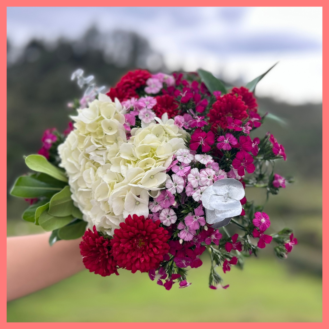 The Christmas Clouds bouquet includes mixed stems of hydrangea, matsumoto, dianthus, ruscus, eucalyptus, and pittosporum! Please note that as flowers are a live product, colors, and varieties may slightly vary from the photos shown to provide you with the freshest and most beautiful bouquet.
