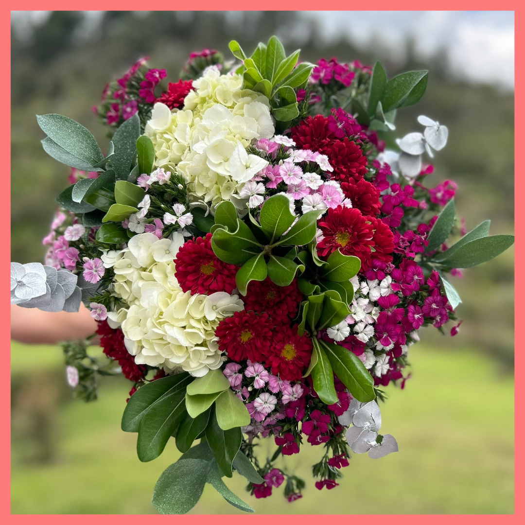 The Christmas Clouds bouquet includes mixed stems of hydrangea, matsumoto, dianthus, ruscus, eucalyptus, and pittosporum! Please note that as flowers are a live product, colors, and varieties may slightly vary from the photos shown to provide you with the freshest and most beautiful bouquet.