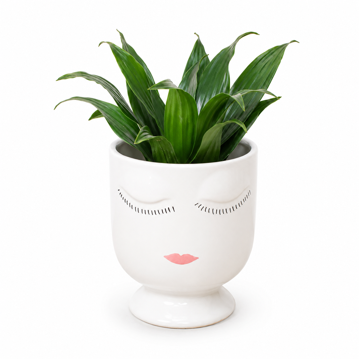 face plant pot The Face Planter