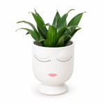 The Face Planter - Indoor Plant