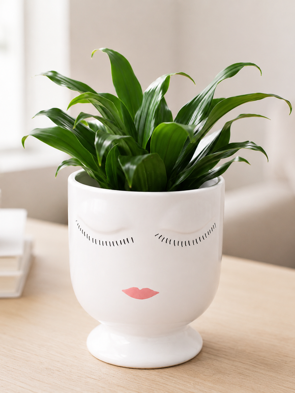 The Face Planter - Indoor Plant