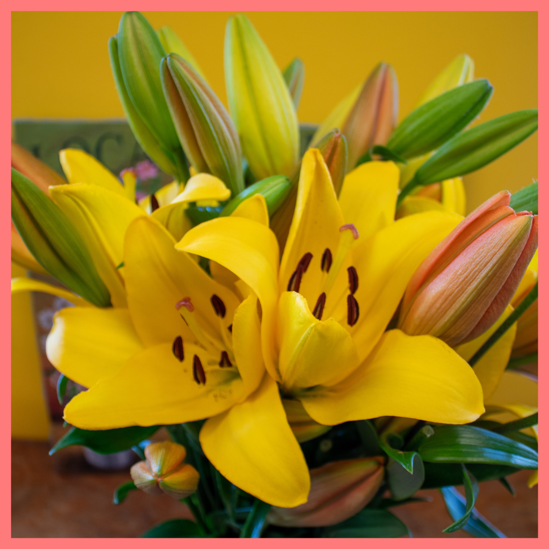 The Lovable Lilies bouquet includes 12 mixed stems of Yellow and Orange Lilies!