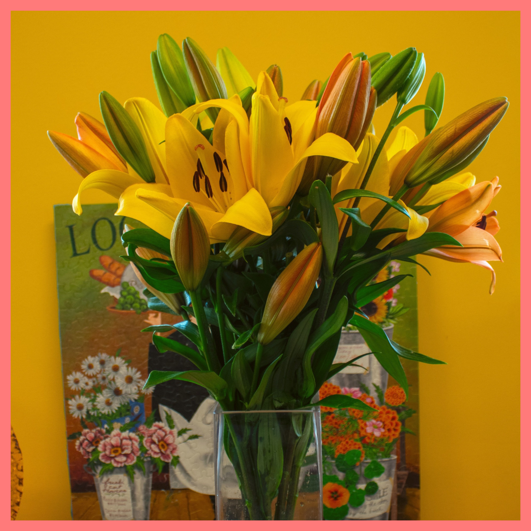 Lovable Lilies