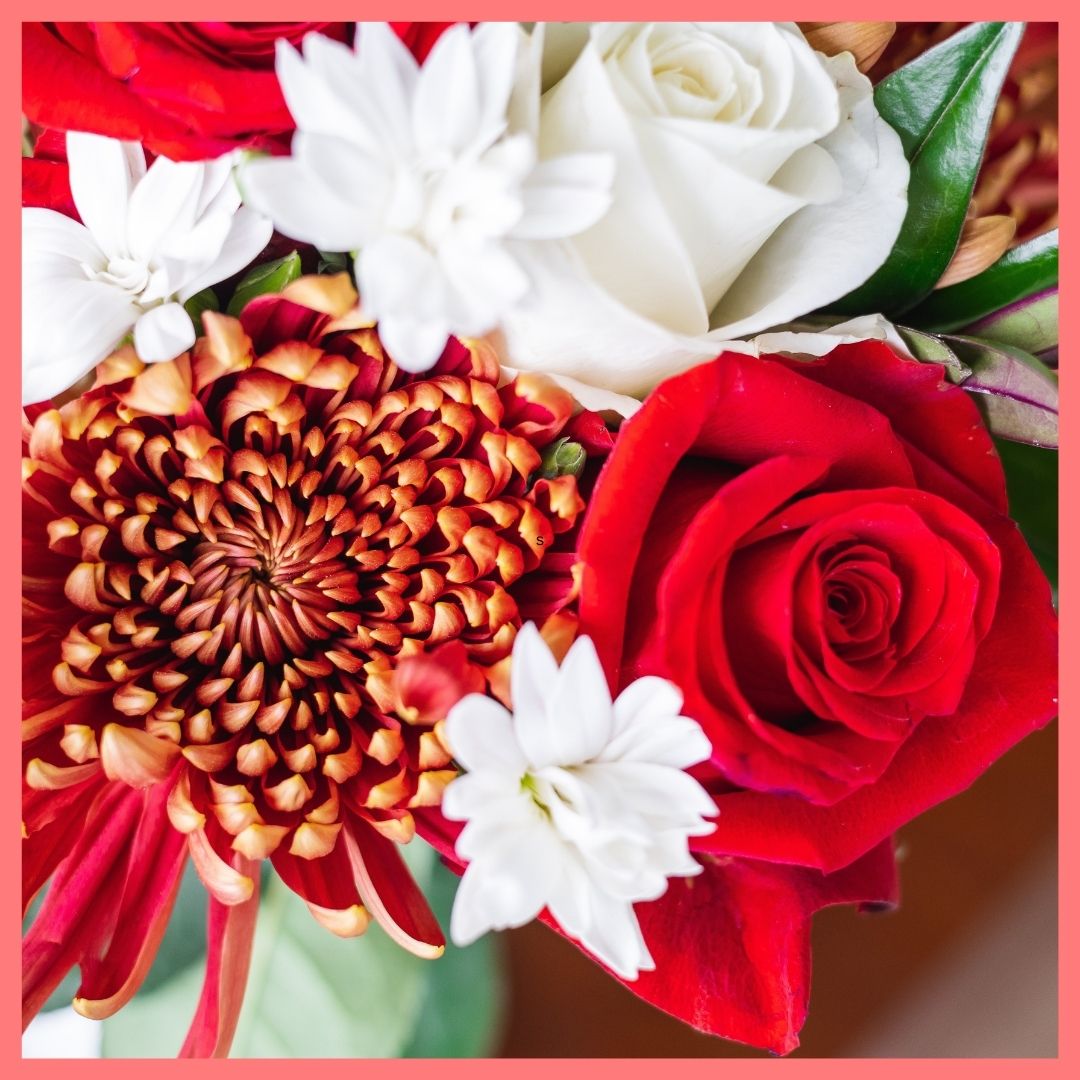 Order the Jingle Jingle Christmas flower bouquet! The Jingle Jingle flower bouquet includes mixed stems of roses, scabiosa, chrysanthemums, solomio, hebes, and eucalyptus. The flowers will be shipped directly from the farm to you!