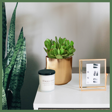 Load image into Gallery viewer, The Crassula Jade is a succulent, and its charm lies not only in its stunning appearance but also in its adaptability and low-maintenance nature. 
