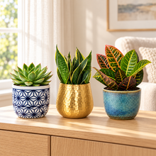 Load image into Gallery viewer, Succulent, snake plant and croton in blue, gold and teal decorative planters
