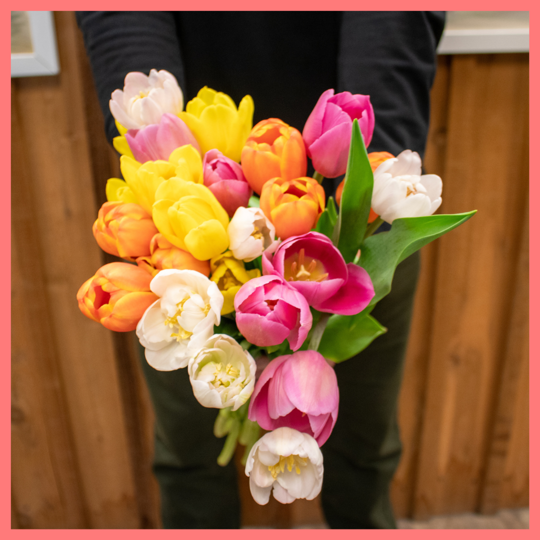 The Totally Tulips bouquet includes mixed stems of colorful California-grown tulips! Please note that as flowers are a live product, colors and varieties may vary from the photos shown to provide you with the freshest, most seasonal, and most beautiful bouquet.