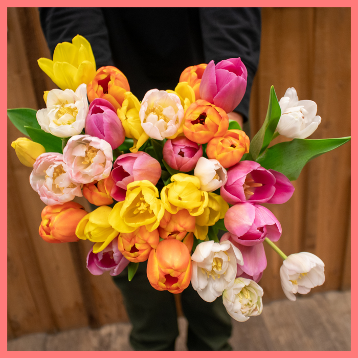 The Totally Tulips bouquet includes mixed stems of colorful California-grown tulips! Please note that as flowers are a live product, colors and varieties may vary from the photos shown to provide you with the freshest, most seasonal, and most beautiful bouquet.