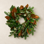 The Evergreen Edit fresh wreath of Fraser fir, large magnolia leaves, and seeded eucalyptus on a plaster wall