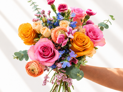 6 Month Gift Subscription