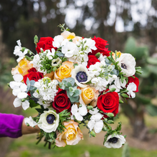 Load image into Gallery viewer, Christmas Growers&#39; Choice Flower Bouquet 1
