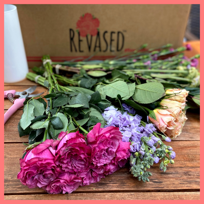 Order The Debbie DIY KIT from our Spring Collection! This Do-It-Yourself Floral Design Kit will include mixed stems of peach roses, pink roses, lavender scabiosa, lavender stock, solomio bono, and hebes. The kit will also include design tips from the pros! The flowers will be shipped directly from the farm!
