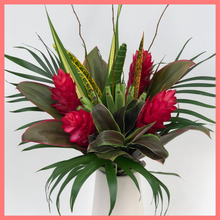 Load image into Gallery viewer, ReVased is the new, convenient way to buy sustainable flowers. By selecting the Tropical Rainforest flower bouquet, you will receive a unique mix of tropical flowers! These gorgeous and unique stems are sourced from a Rainforest Alliance Certified flower farm in Ecuador and are of the highest quality.

