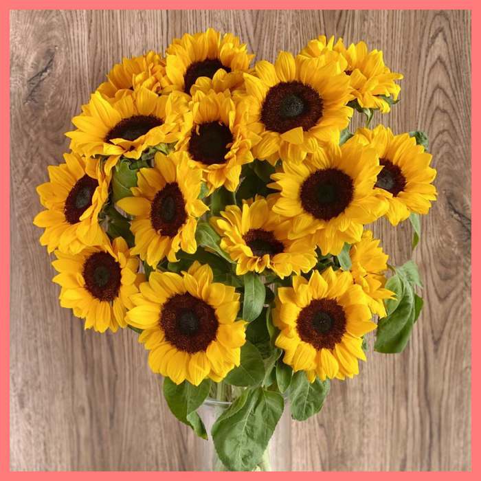 Order the Sun For Days flower bouquet! The Sun For Days bouquet is our first single stem bouquet! Enjoy a premium bouquet of only sunflowers! Please note that as flowers are a live product, sunflower varieties may slightly vary from the photos shown to provide you with the freshest and most beautiful bouquet.