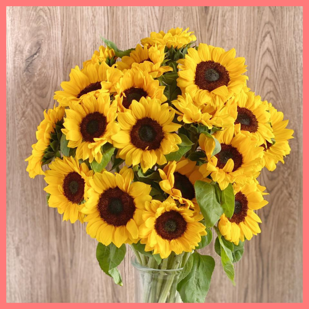 Order the Sun For Days flower bouquet! The Sun For Days bouquet is our first single stem bouquet! Enjoy a premium bouquet of only sunflowers! Please note that as flowers are a live product, sunflower varieties may slightly vary from the photos shown to provide you with the freshest and most beautiful bouquet.