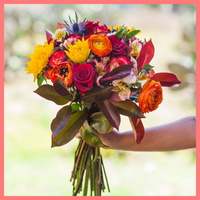 ReVased is the new, convenient way to buy sustainable flowers. Subscribe today to receive beautiful eco-friendly flowers every two weeks with free shipping! Our arrangements are always a surprise and come from eco-friendly farms.