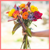 ReVased is the new, convenient way to buy sustainable flowers. Subscribe today to receive beautiful eco-friendly flowers every two weeks with free shipping! Our arrangements are always a surprise and come from eco-friendly farms.