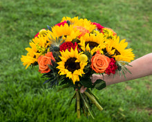 Load image into Gallery viewer, 4 Month Lux Gift Subscription (Pre-Paid) - FREE Shipping!
