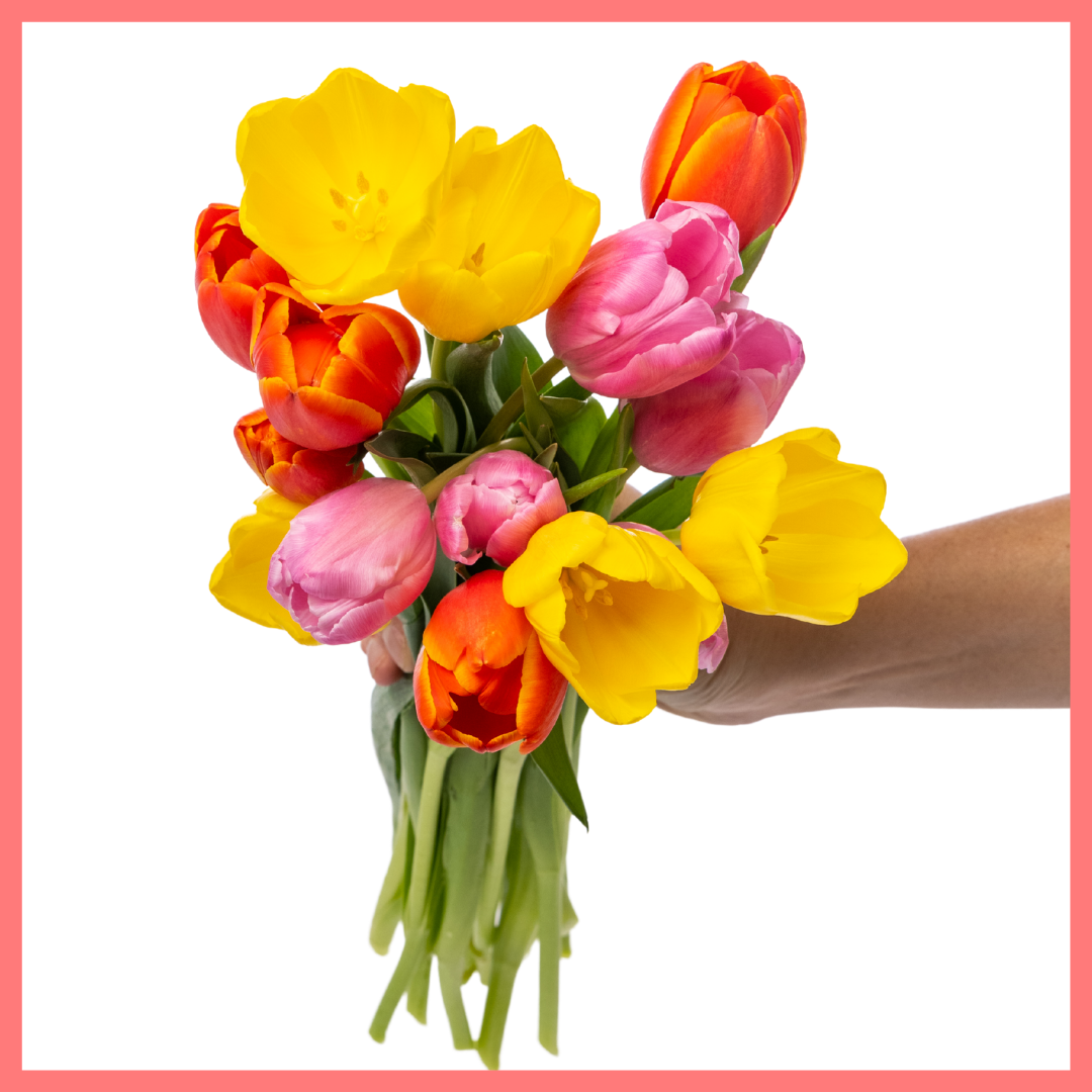 The Totally Tulips bouquet includes mixed stems of colorful California-grown tulips! Please note that as flowers are a live product, colors and varieties may vary from the photos shown to provide you with the freshest, most seasonal, and most beautiful bouquet.