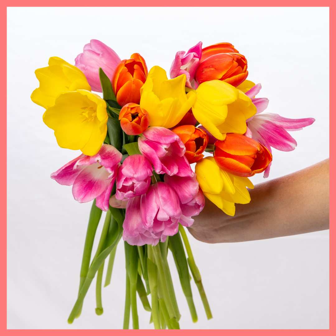 The Totally Tulips bouquet includes mixed stems of colorful California-grown tulips! Please note that as flowers are a live product, colors and varieties may vary from the photos shown to provide you with the freshest, most seasonal, and most beautiful bouquet.