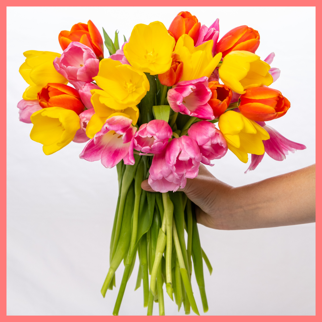 The Totally Tulips bouquet includes mixed stems of colorful California-grown tulips! Please note that as flowers are a live product, colors and varieties may vary from the photos shown to provide you with the freshest, most seasonal, and most beautiful bouquet.