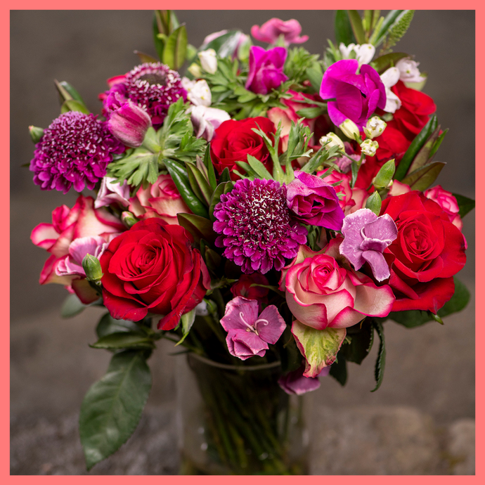 6-Month Premier Valentine's Gift Subscription